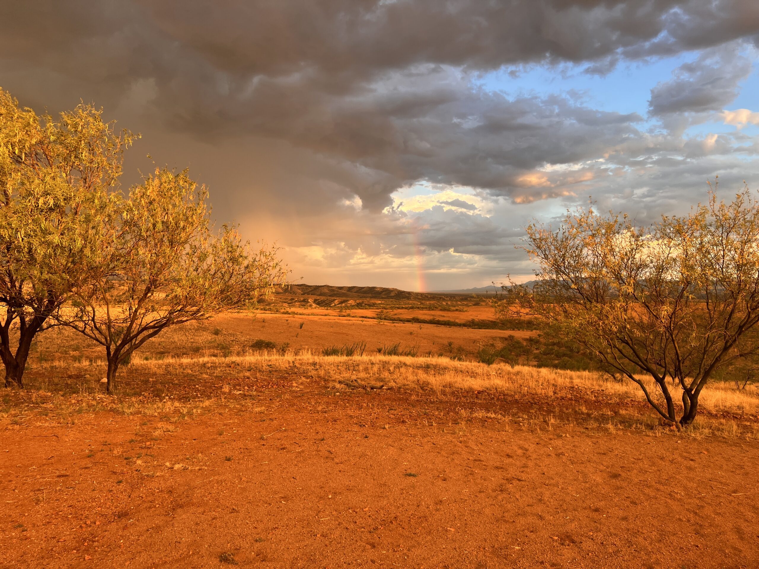 Horizon rainbow monsoon wedding